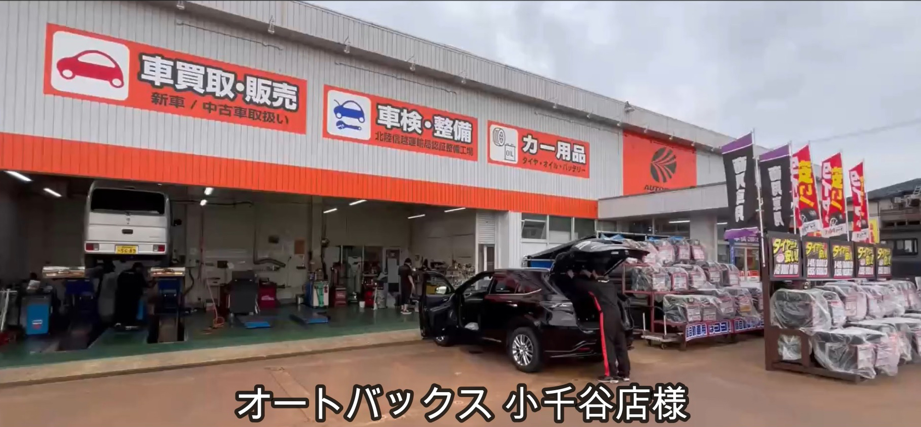 動画